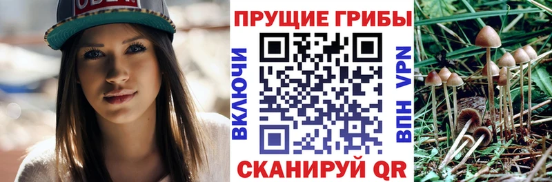 Галлюциногенные грибы GOLDEN TEACHER Нижний Новгород