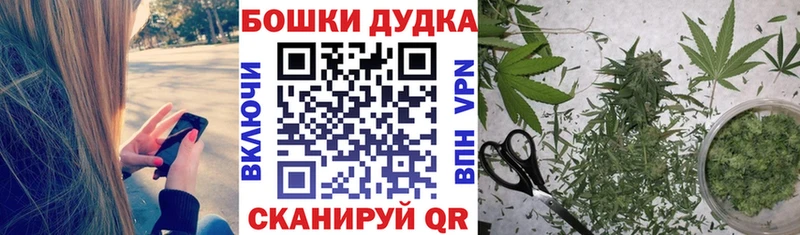 как найти наркотики  Нижний Новгород  Бошки Шишки план 